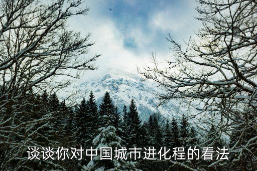 中國城鎮化與城鄉人口遷移的制度性分析...